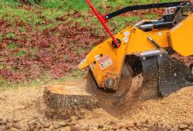 How Our Tree Care Process Works  in  Barry, IL