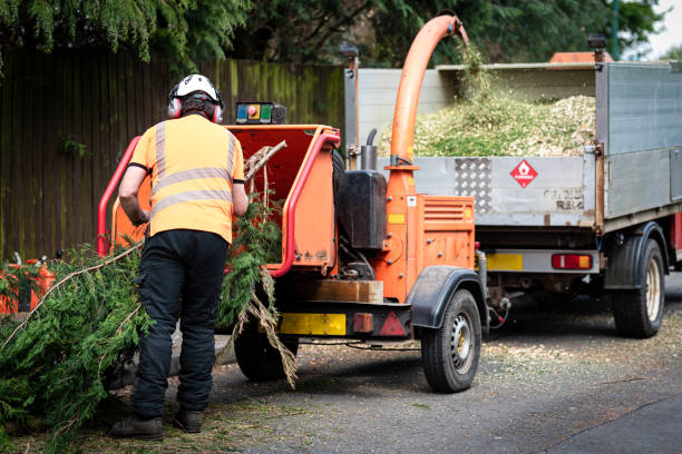 Best Weed Control  in Barry, IL