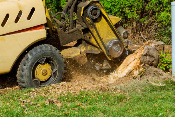Artificial Turf Installation in Barry, IL